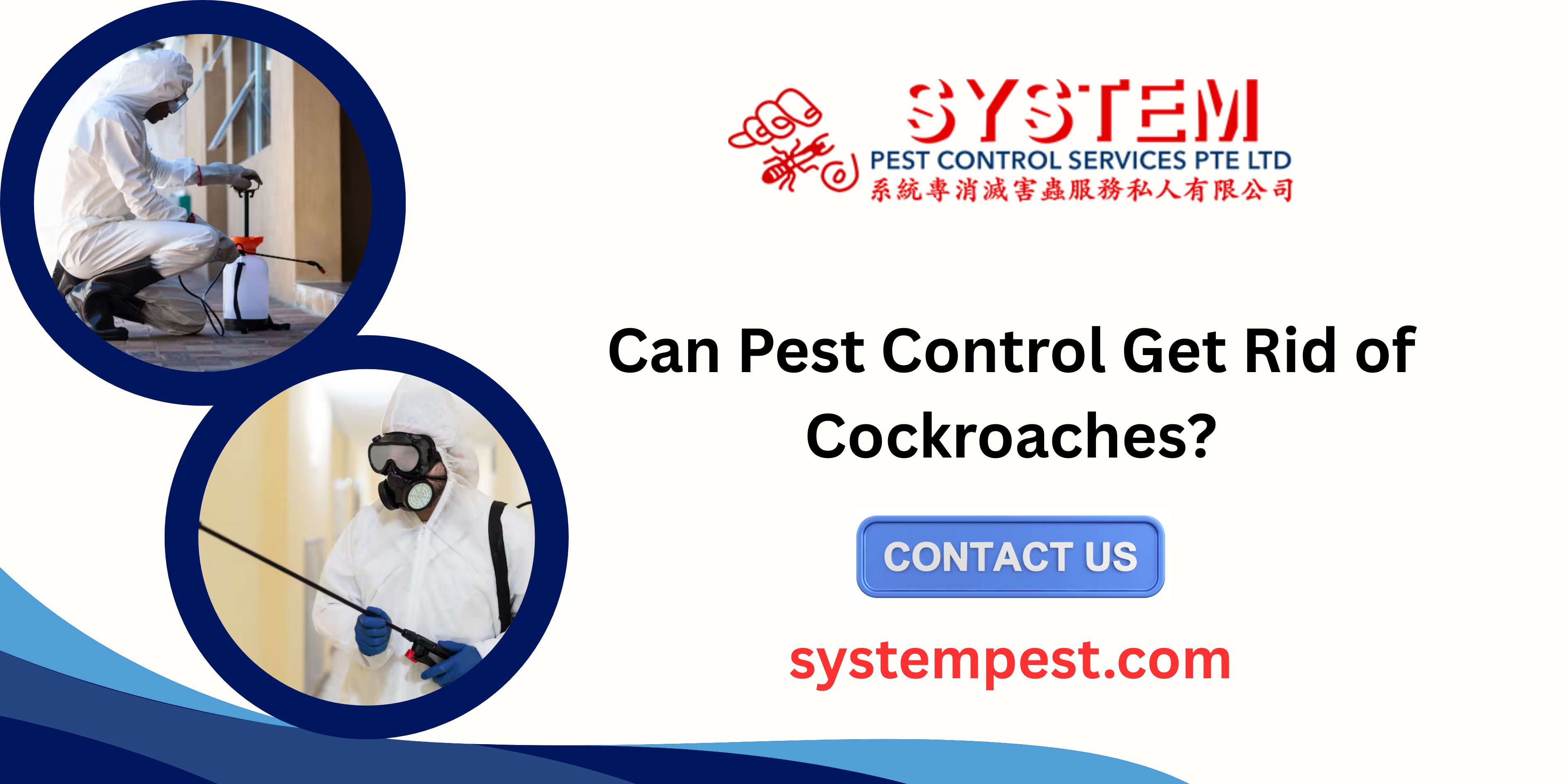 Can Pest Control Get Rid of Cockroaches?